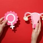 Kıbrıs Tüp Bebek (IVF–ICSI) Tedavisi