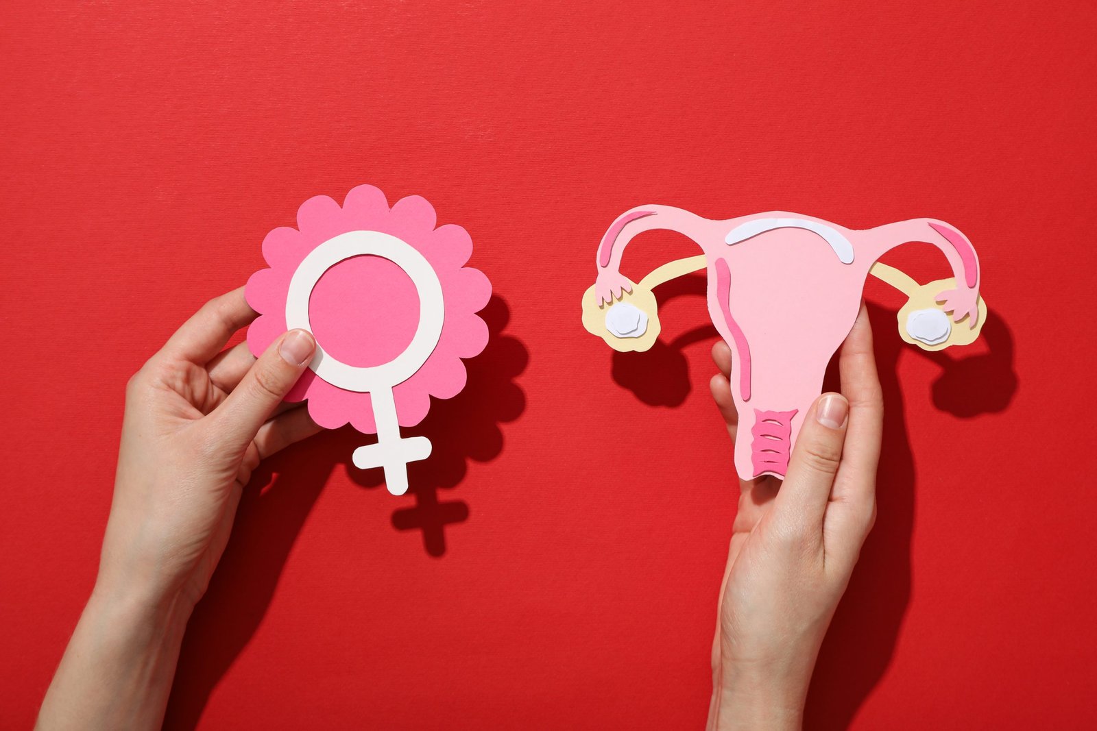 tüp bebek (IVF–ICSI) tedavisi